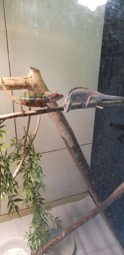 Pet Store «Inland Reef Pet Store», reviews and photos, 817 Cross Lanes Dr, Cross Lanes, WV 25313, USA