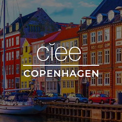 Ciee Denmark ApS