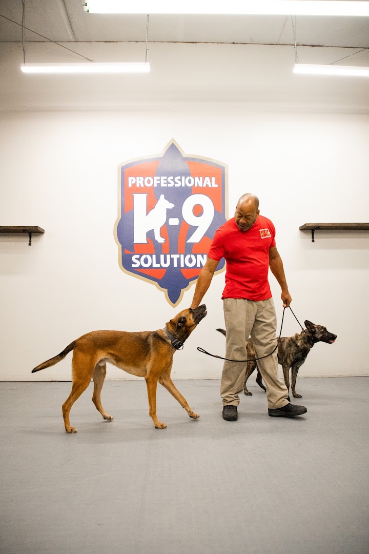 Professional K9 Solutions