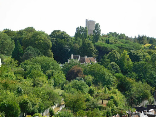 Château de Loches à Loches