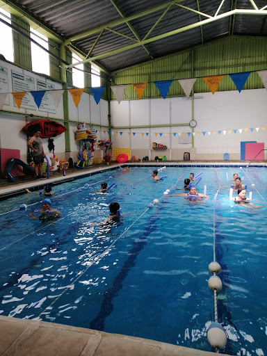 Aquatica Swimming School