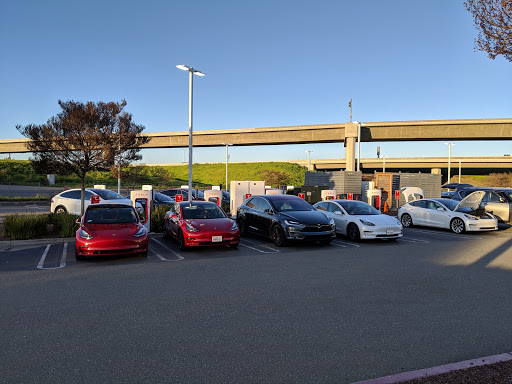 Tesla image
