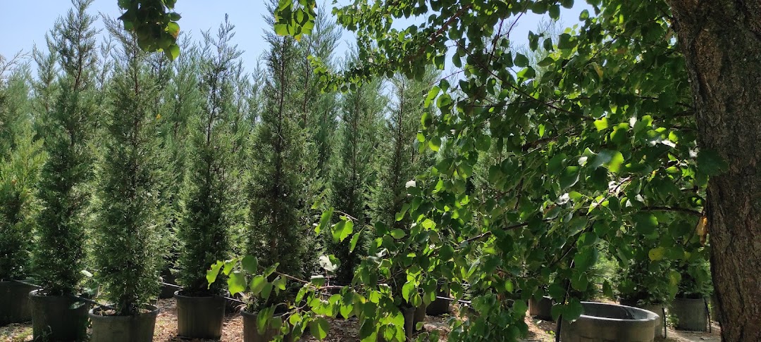 Halil ve Mehmet Kahraman çiçekçilik