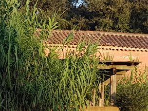 Photo n°14 de Le Manoir à Hyères ()