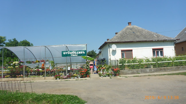 Tiszafüred, 5350 Magyarország