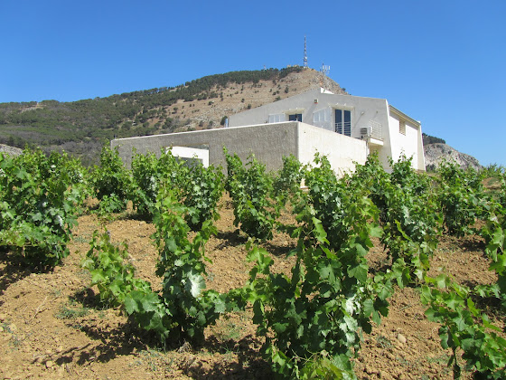 Extérieur Hébergement Villa Bonifato 91011 Alcamo
