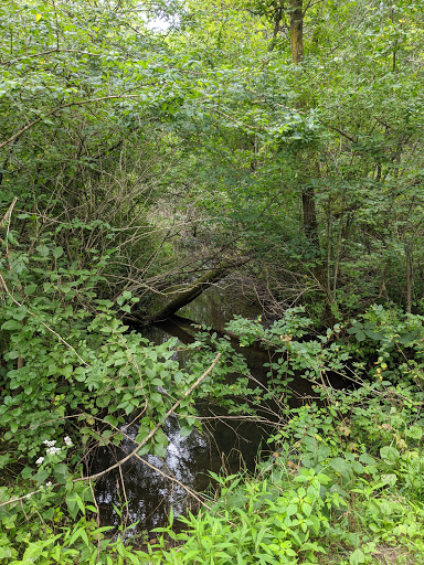 Nature Preserve «Vermillion Highlands», reviews and photos, 15325 Babcock Ave E, Rosemount, MN 55068, USA