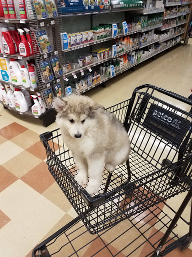 Shopping Mall «Fox Run Mall», reviews and photos, 25-55 Welles St, Glastonbury, CT 06033, USA