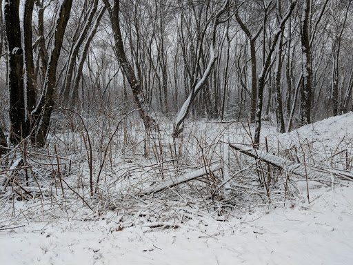 Nature Preserve «Julian L. Capik Nature Preserve», reviews and photos, Cheesequake Rd, Sayreville, NJ 08872, USA