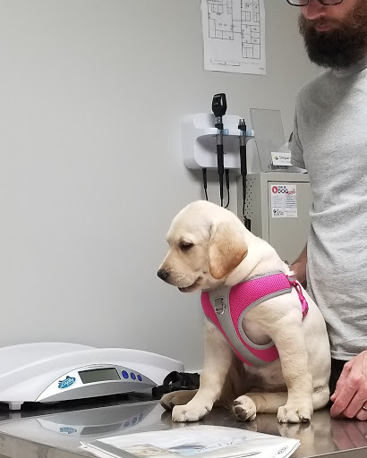 Waterville Veterinary Clinic image