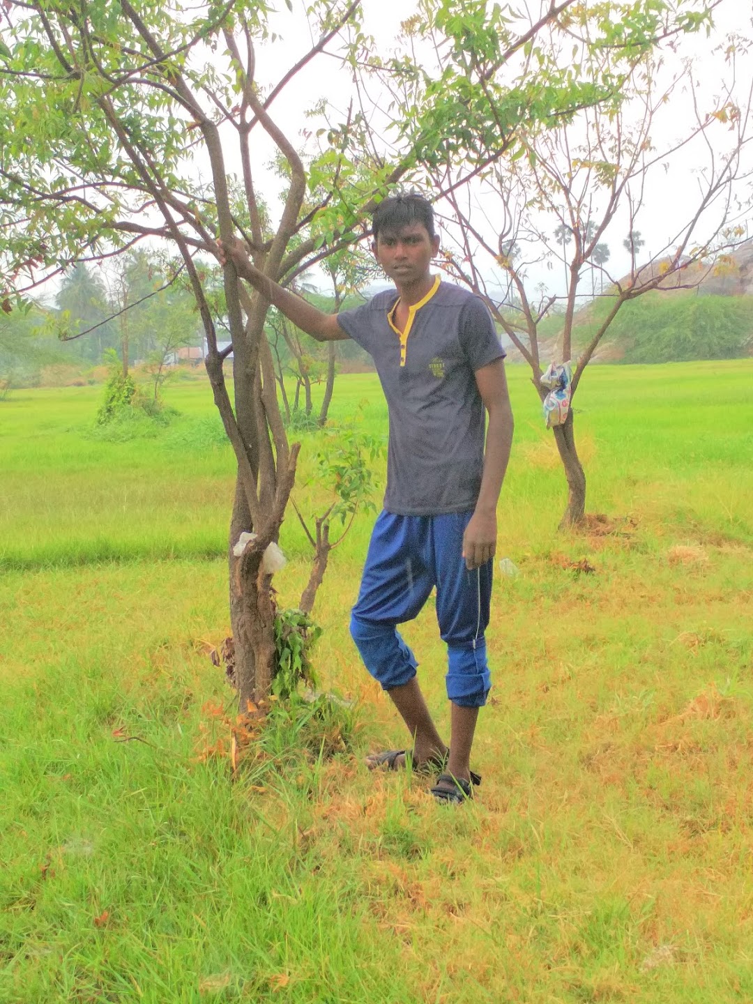 Ground