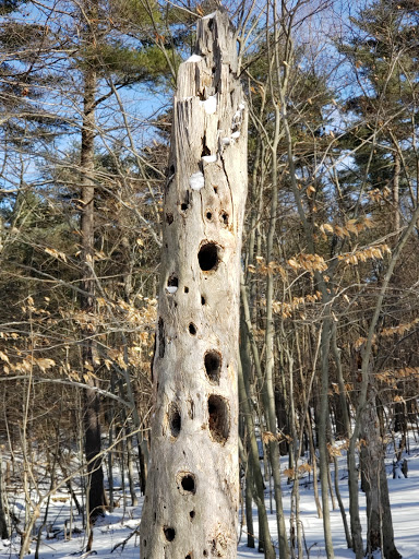 Historical Place «Saratoga National Historical Park», reviews and photos, 648 NY-32, Stillwater, NY 12170, USA