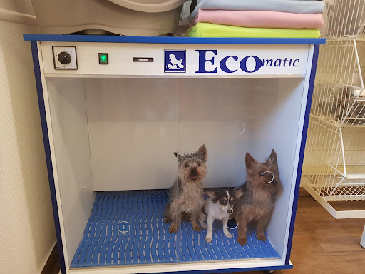 Hundesalon Tieroase Irene Schmid unter Halfing, 