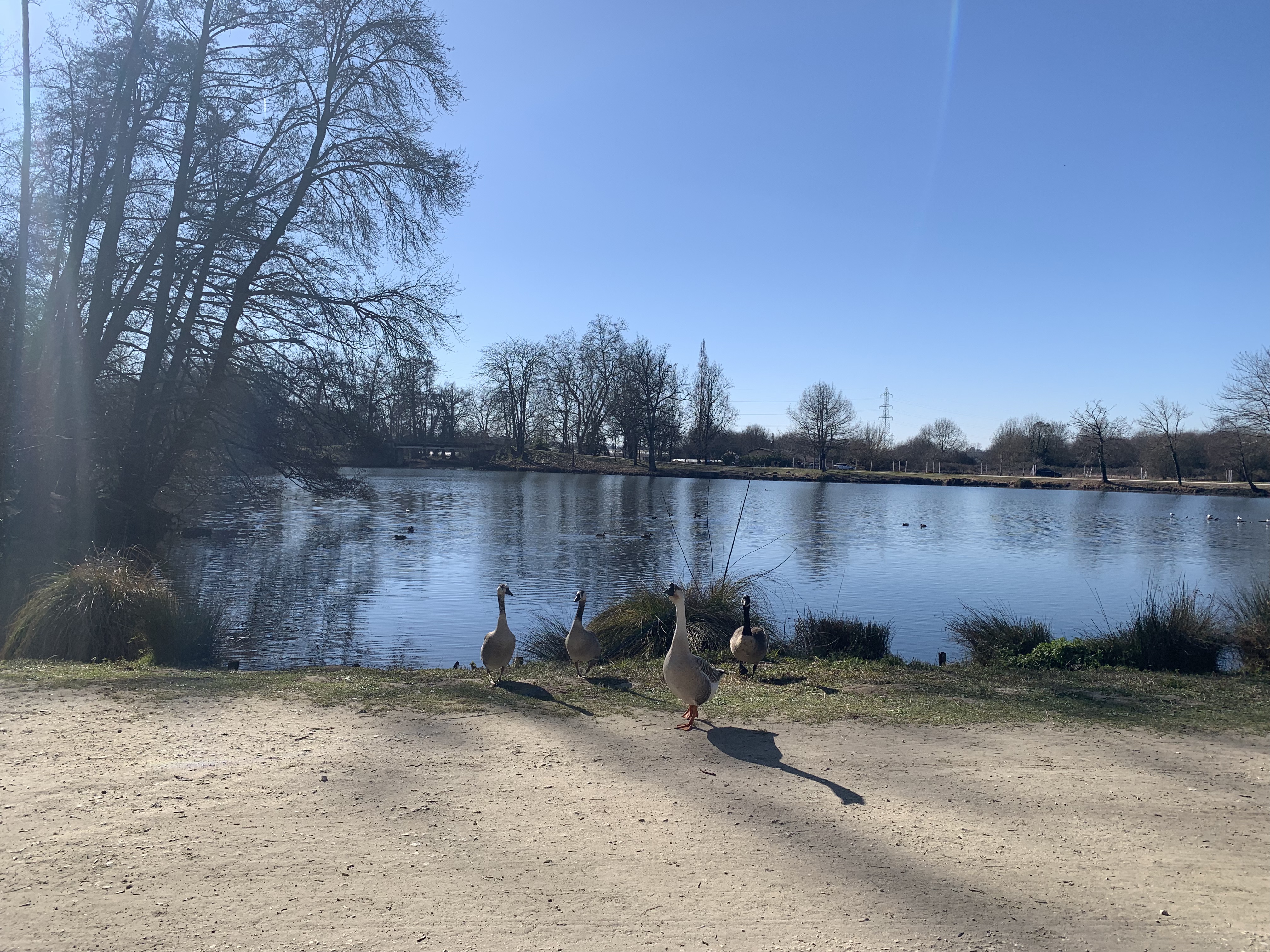 Photo n° 27 de l'avis de Esteban.R fait le 13/02/2023 à 17:04