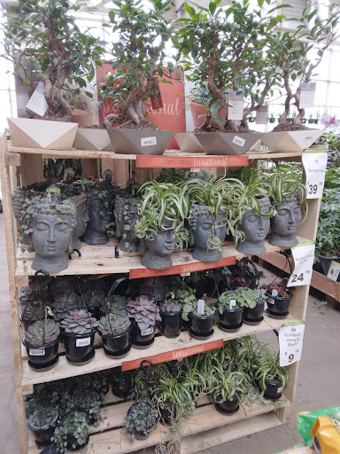 The Home Depot image 4