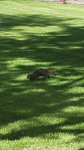 Museum «Colorado Springs Pioneers Museum», reviews and photos, 215 S Tejon St, Colorado Springs, CO 80903, USA