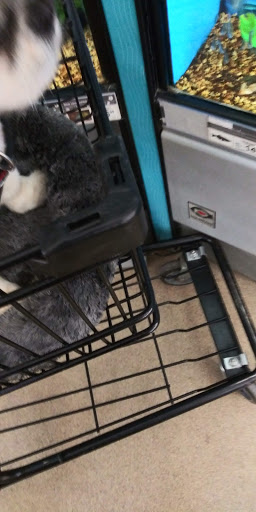 Pet Supply Store «Petco Animal Supplies», reviews and photos, 3270 N Pleasantburg Dr, Greenville, SC 29609, USA