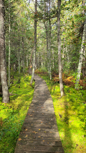 North Country Trail – Brule Bog Boardwalk
