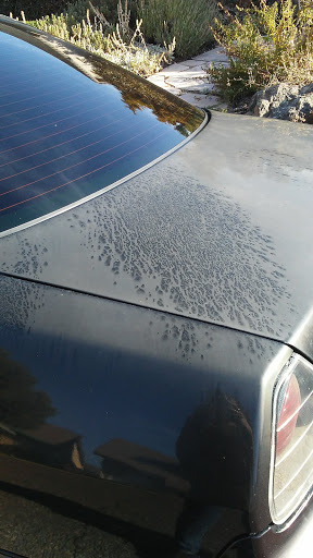 Car Wash «Quick Quack Car Wash - Sacramento on Madison», reviews and photos, 4301 Madison Ave, Sacramento, CA 95842, USA