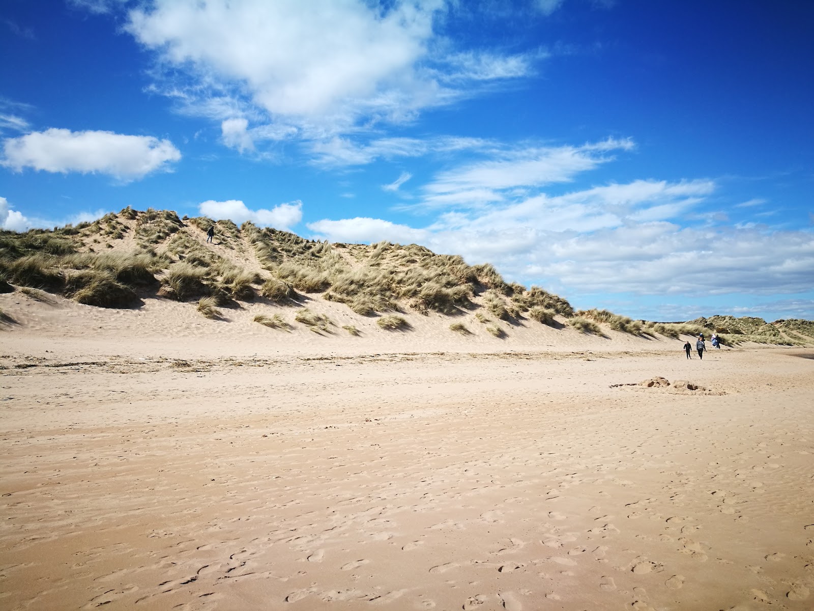 Foto av Newburgh Seal Beach beläget i naturområde