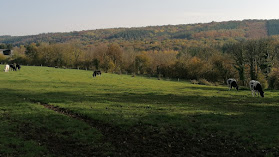 Ferme Ghyse Christelle