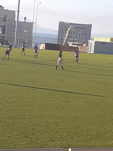 Opiniones de Cancha Lautaro en Antofagasta - Campo de fútbol