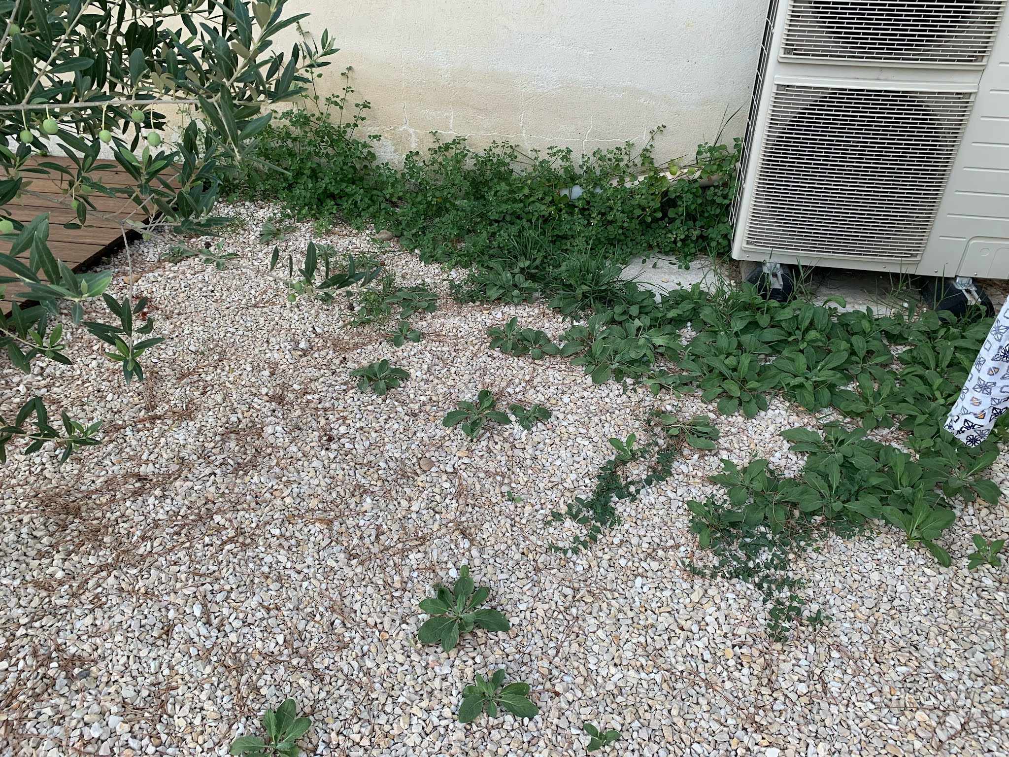 Photo n° 3 de l'avis de Jeremie.o fait le 18/09/2021 à 15:18
