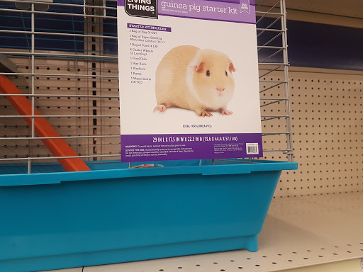 Places to buy a hamster in Boston