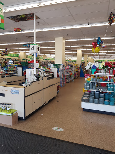 Dollar Store «Dollar Tree», reviews and photos, 28776 Gratiot Ave, Roseville, MI 48066, USA