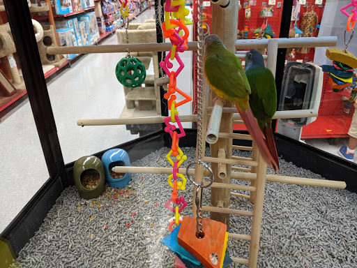 Pet Supply Store «Petco Animal Supplies», reviews and photos, 2341 Claribel Rd, Riverbank, CA 95367, USA
