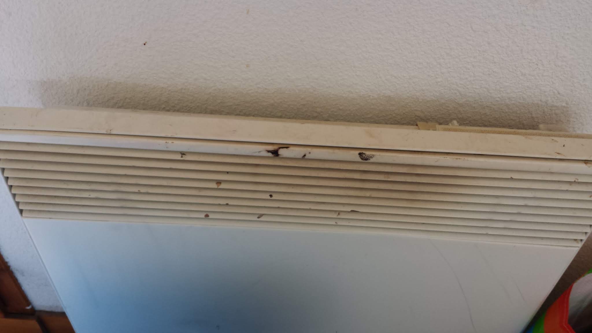 Photo n° 8 de l'avis de Sir_SiegfriedS.3 fait le 18/04/2019 à 11:32