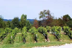 Oceana Winery & Vineyard image