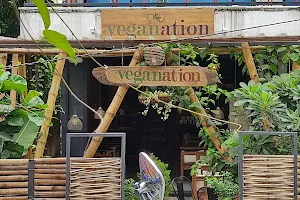 VegaNation image