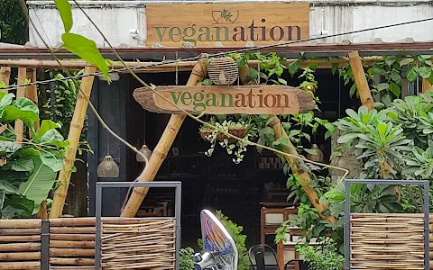 VegaNation image
