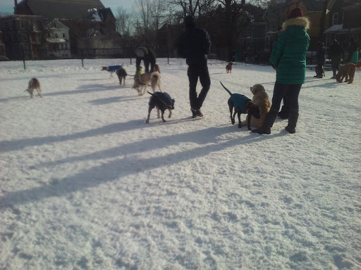 Park «Nunziato Field Dog Park», reviews and photos, Putnam St, Somerville, MA 02143, USA