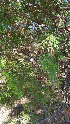 Golf Club «Country Land Golf Course», reviews and photos, 6560 Mayfield Dr, Cumming, GA 30041, USA