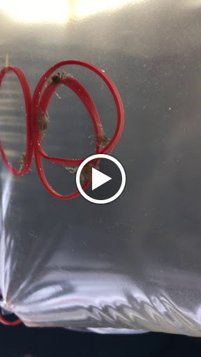 Pet Store «Critter Hut Aquarium & Pets», reviews and photos, 6637 Post Rd, North Kingstown, RI 02852, USA