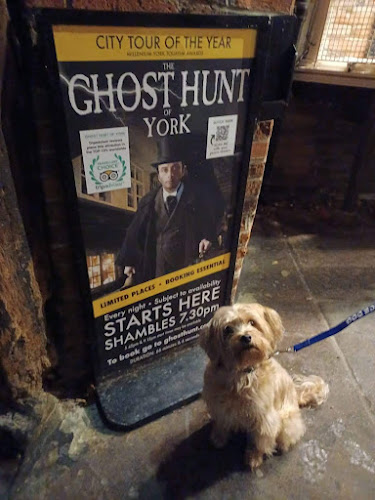 Reviews of Ghost Hunt of York in York - Travel Agency