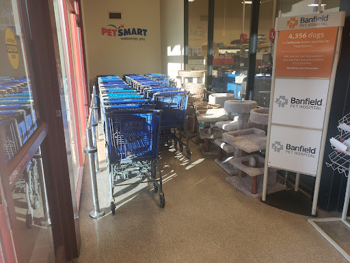 Pet Supply Store «PetSmart», reviews and photos, 23602 El Toro Rd, Lake Forest, CA 92630, USA