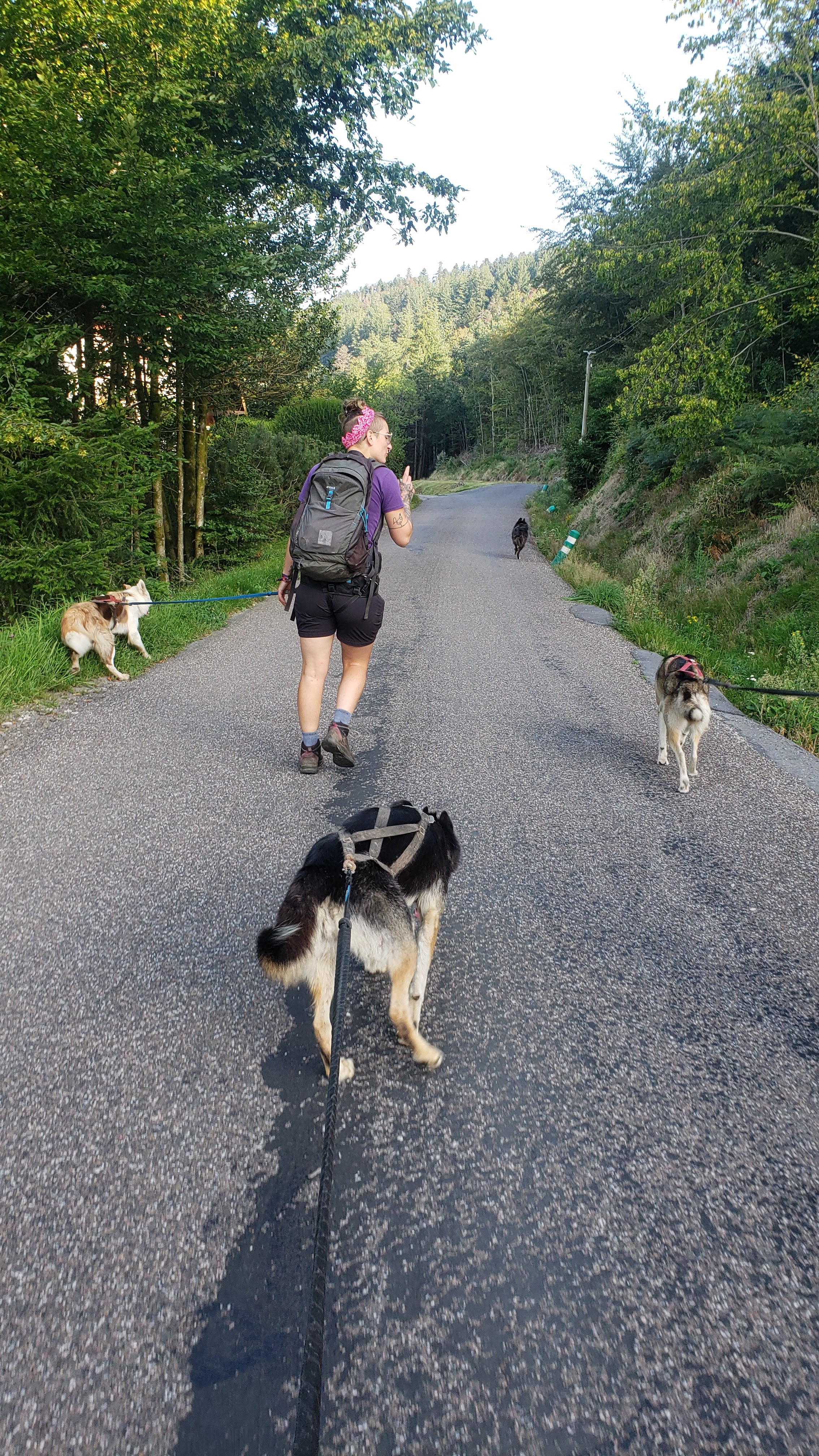 Photo n° 1 de l'avis de Garance.. fait le 05/01/2024 à 15:35