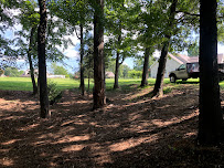 Piedmont Site Works - Photo 7 - Car repair in , High Point