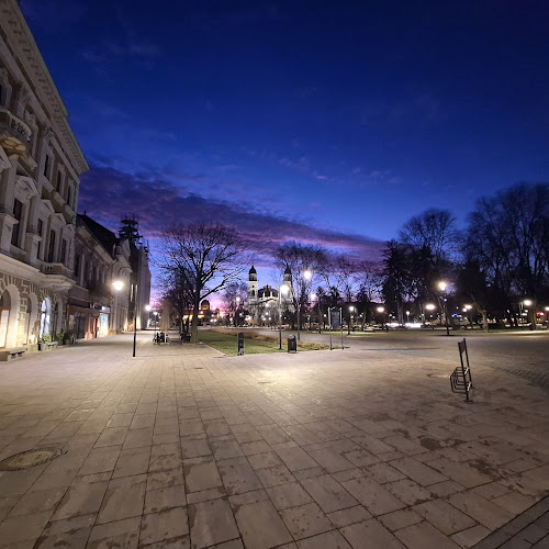 Opinii despre Parcul Central Satu Mare în Satu Mare - Cinema