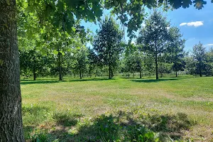 Park Zwanenburg (Spaarnwoude Park) image