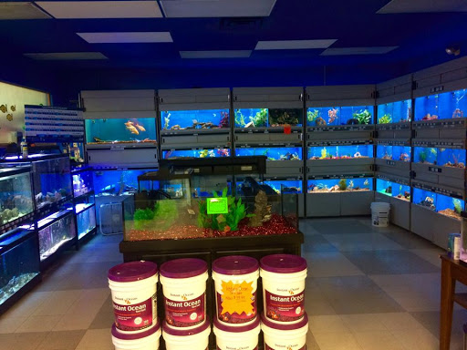 Pet Groomer «We Lov Pets», reviews and photos, 3853 Northpointe Dr, Zanesville, OH 43701, USA