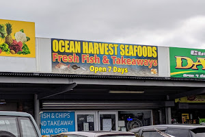 Ocean Harvest Seafood