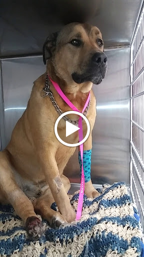 2845 E Court St, Flint, MI 48506, USA