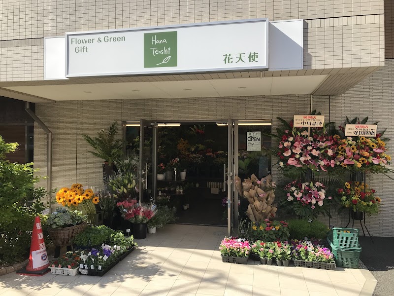 花天使 小岩駅南口店