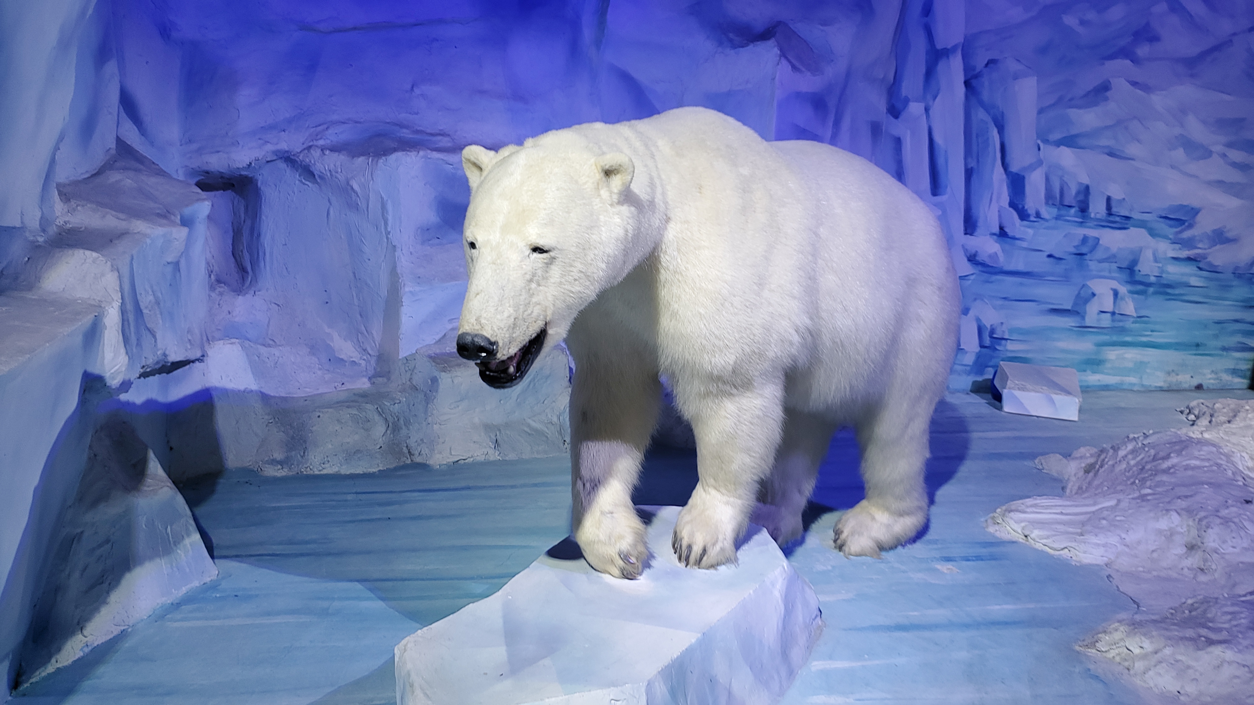 Photo n° 8 de l'avis de Cris.9 fait le 05/10/2023 à 13:30