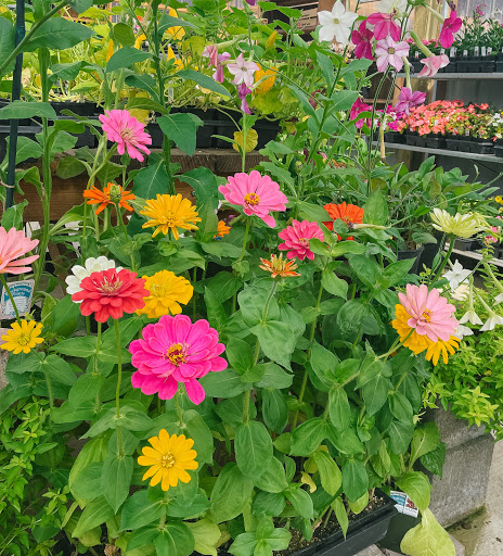 Hardware Store «Economy Supply of Lebanon», reviews and photos, 1055 Tangent St, Lebanon, OR 97355, USA