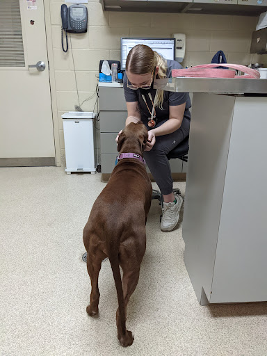 VRA FT. Liberty: Norfolk Veterinary Branch image